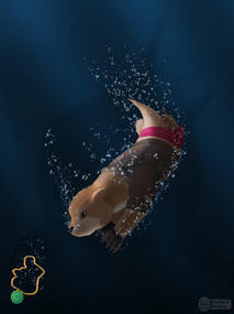 Ray Pebblesnatch - KittaraJ