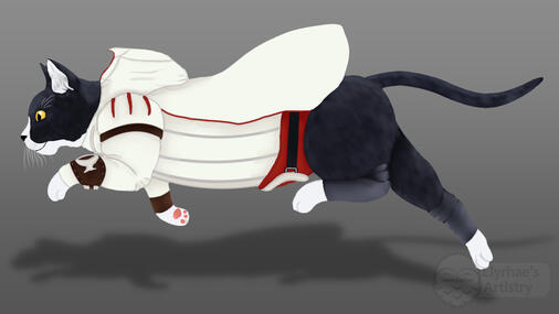 Assassins Creed Cat